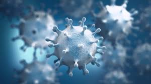 Molecular biology shape of corona virus