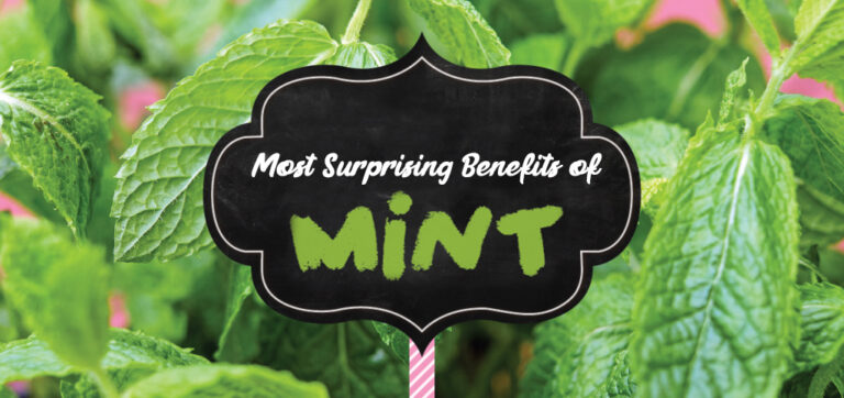 These are Impressive Benefits Of Mint Leaves