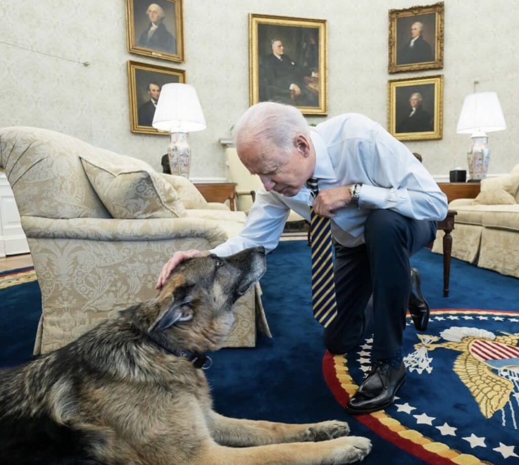 Aggressive Dogs at the White House