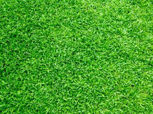 Why Artificial Grass Should Be Preferred Over Natural Grass