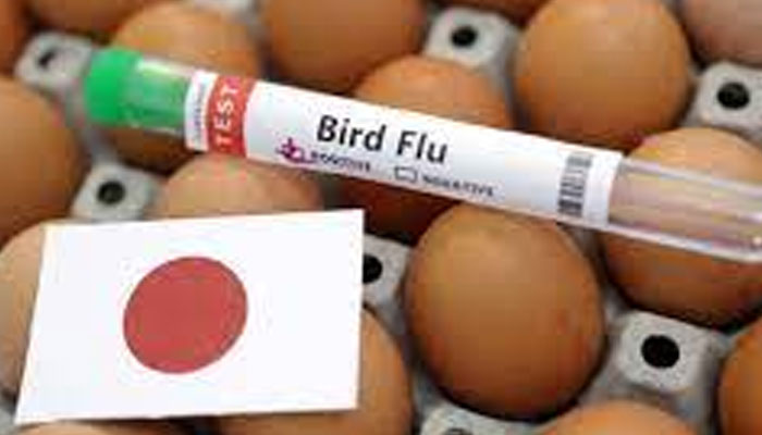 Japan detects season's first bird flu case