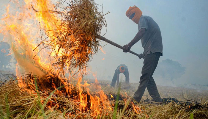 Why Indian farmers burn stubble despite pollution, health risks?
