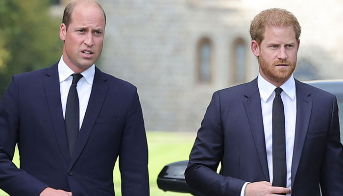 Prince William's concerns over Prince Harry's ‘brainwashing’ revealed